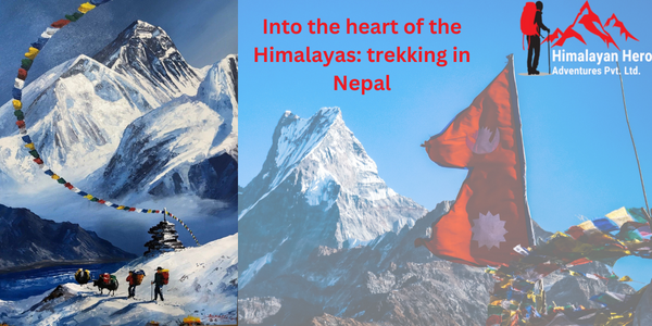 Into the Himalayas: Trekking in Nepal